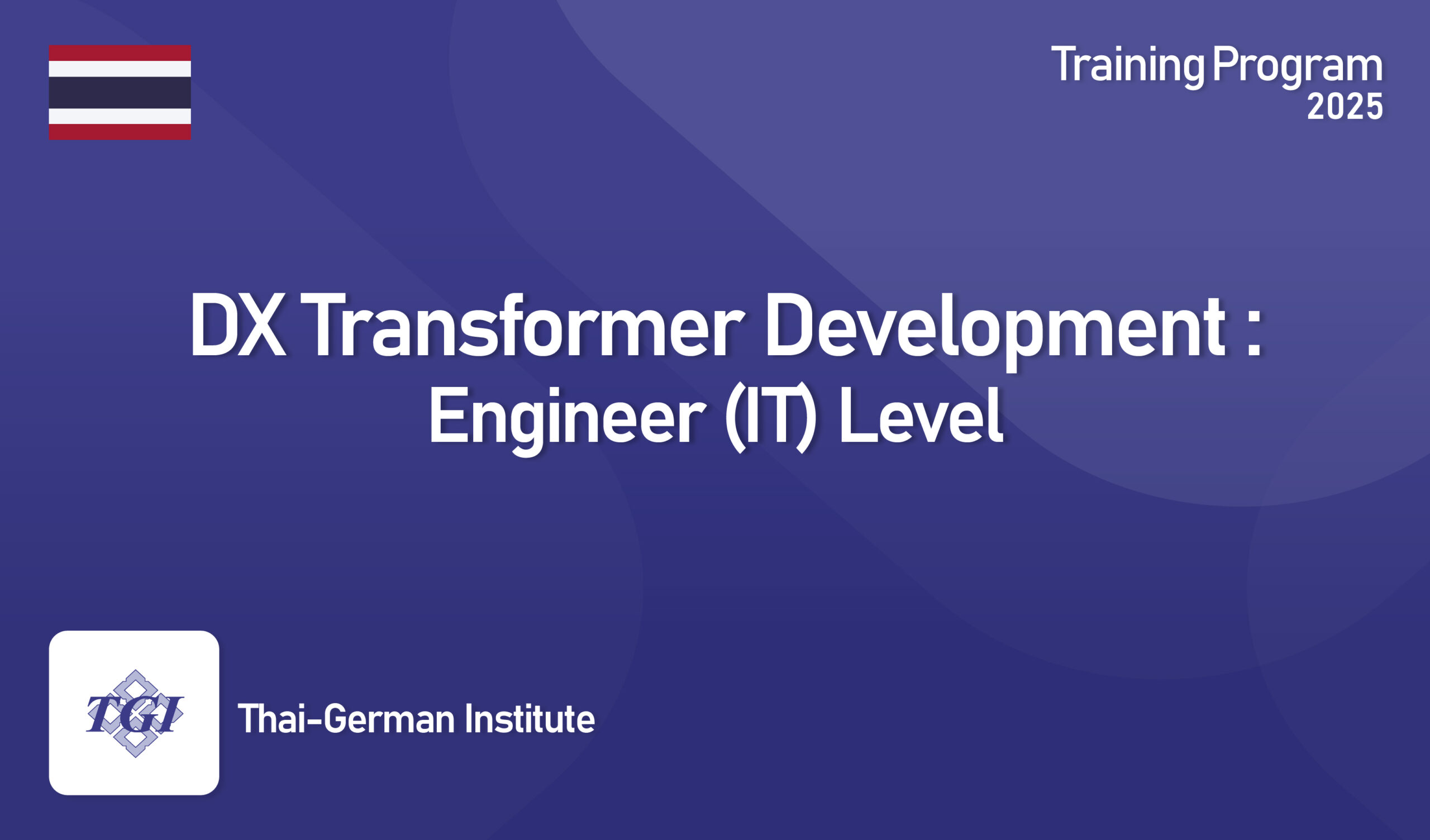 DX Transformer Development: Engineer (IT) Level
